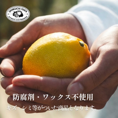【訳あり】愛媛レモン 4kg【防腐剤・ワックス不使用】【C70-74】