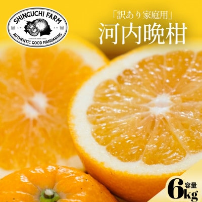 【太陽の恵みをギュッと凝縮】河内晩柑 訳あり 6kg 愛媛県産【C70-83】