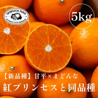 《新品種》「甘平×まどんな」　愛果48号【紅プリンセスと同品種】【5kg】【家庭用】【G70-85】