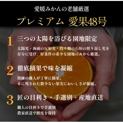 【紅プリンセスと同品種】「甘平×まどんな」愛果48号【5kg】《新品種》【家庭用】【G70-85】