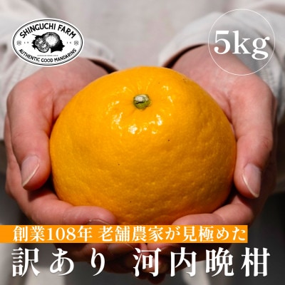 愛媛みかんの老舗【河内晩柑 訳あり 5kg】新口農園【C70-87】