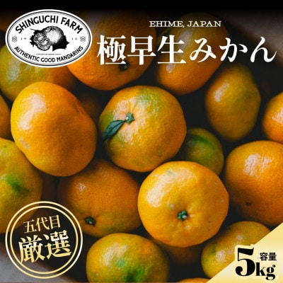 【朝採り直送】五代目が厳選!【小玉】極早生みかん5kg 愛媛県  新口農園【C70-88】