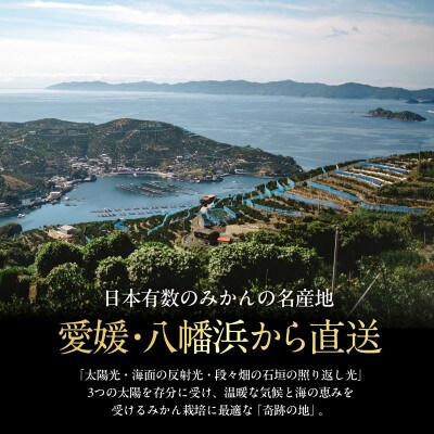 【先行受付】五代目が厳選した【小玉】極早生みかん5kg【愛媛県川上産】【C70-88】