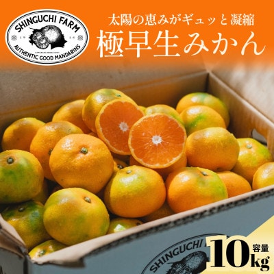 【先行受付】五代目が厳選した【小玉】極早生みかん10kg【愛媛県川上産】【D70-89】