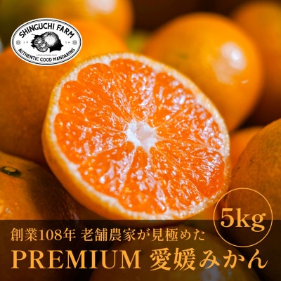 老舗農家が見極めたプレミアム【愛媛みかん5kg】【愛媛県川上産】【B70-90】