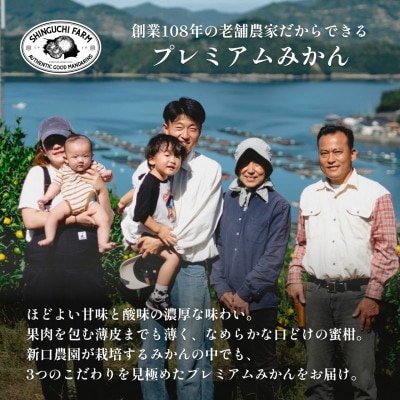 老舗農家が見極めたプレミアム【愛媛みかん5kg】【愛媛県川上産】【B70-90】