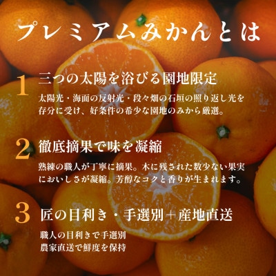 老舗農家が見極めたプレミアム【愛媛みかん10kg】【愛媛県川上産】【E70-91】