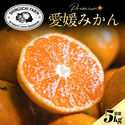 老舗農家が見極めたプレミアム【小玉】愛媛みかん5kg【愛媛県川上産】【A70-92】