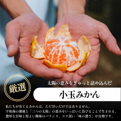 【小玉サイズ限定】五代目が厳選!愛媛みかん 5kg【愛媛県川上産】新口農園【A70-92】