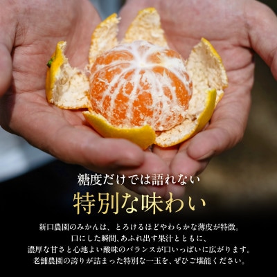老舗農家が見極めたプレミアム【小玉】愛媛みかん5kg【愛媛県川上産】【A70-92】