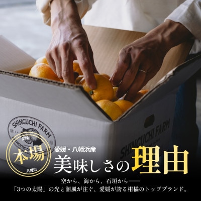 【数量限定】五代目が厳選【小玉サイズ】愛媛みかん 5kg【愛媛県川上産】【A70-92】
