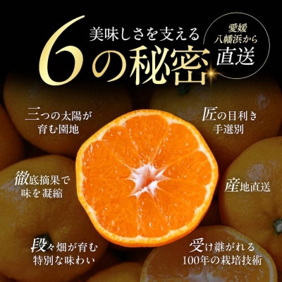 【小玉サイズ限定】五代目が厳選!愛媛みかん 5kg【愛媛県川上産】新口農園【A70-92】