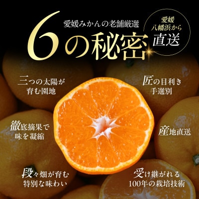 老舗農家が見極めたプレミアム【小玉】愛媛みかん10kg【愛媛県川上産】【E70-93】