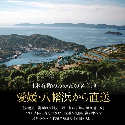 老舗農家が見極めたプレミアム【小玉】愛媛みかん10kg【愛媛県川上産】【E70-93】