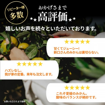 【小玉サイズ限定】五代目が厳選!愛媛みかん 10kg【愛媛県川上産】【E70-93】
