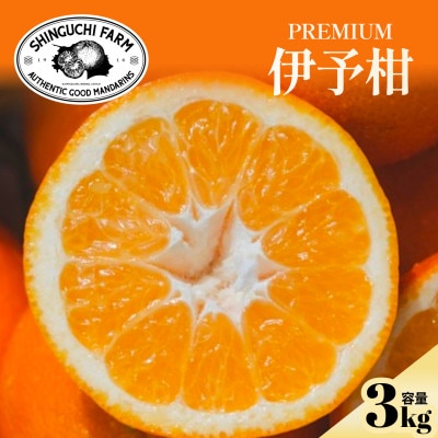 老舗農家が見極めたプレミアム【伊予柑3kg】【愛媛県川上産】【C70-94】