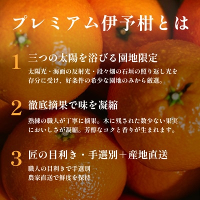 老舗農家が見極めたプレミアム【伊予柑3kg】【愛媛県川上産】【C70-94】