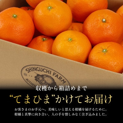 老舗農家が見極めたプレミアム【伊予柑3kg】【愛媛県川上産】【C70-94】