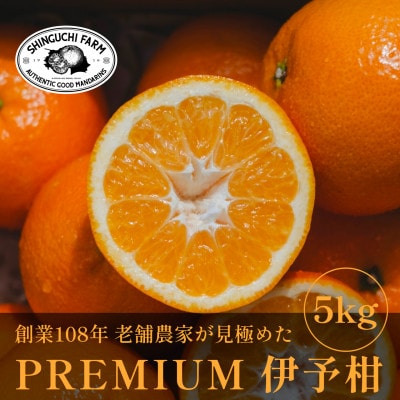 老舗農家が見極めたプレミアム【伊予柑5kg】【愛媛県川上産】【D70-95】
