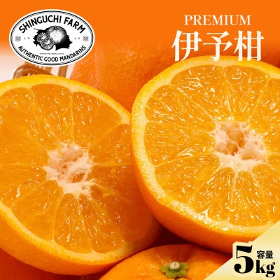 老舗農家が見極めたプレミアム【伊予柑5kg】【愛媛県川上産】【D70-95】