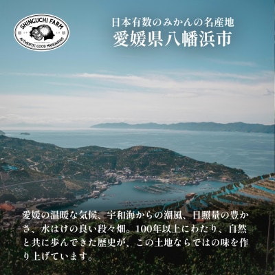 老舗農家が見極めたプレミアム【伊予柑5kg】【愛媛県川上産】【D70-95】