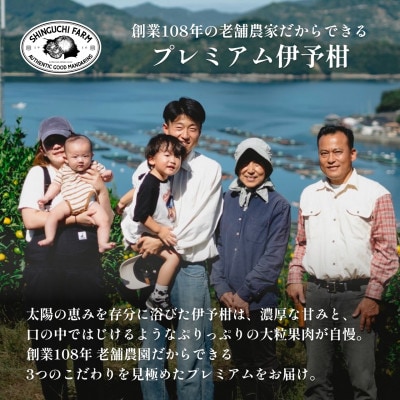 老舗農家が見極めたプレミアム【伊予柑5kg】【愛媛県川上産】【D70-95】