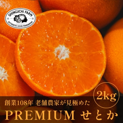 【数量限定】老舗農家が見極めたプレミアム【せとか2kg】柑橘の大トロ【愛媛県川上産】【C70-96】