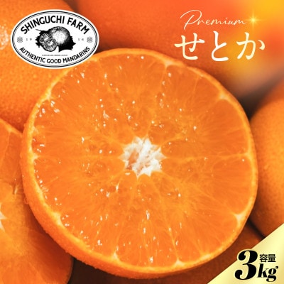 【数量限定】老舗農家が見極めたプレミアム【せとか3kg】柑橘の大トロ【D70-97】