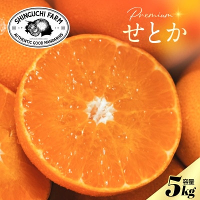 【数量限定】老舗農家が見極めたプレミアム【せとか5kg】柑橘の大トロ【F70-98】
