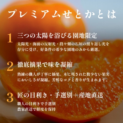 【数量限定】老舗農家が見極めたプレミアム【せとか5kg】柑橘の大トロ【愛媛県川上産】【F70-98】