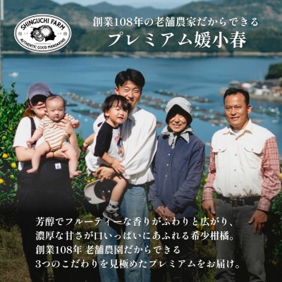 【数量限定】老舗農家が見極めたプレミアム【媛小春2kg】 愛媛県新品種【C70-99】