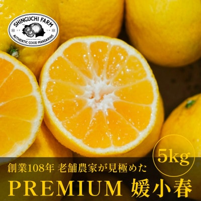 【数量限定】老舗農家が見極めたプレミアム【媛小春5kg】 愛媛県新品種【G70-101】