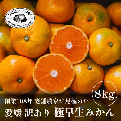 【数量限定】訳あり 極早生みかん 8kg【愛媛みかんの老舗】【C70-102】