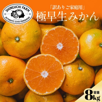 【訳ありだけど美味しさそのまま】極早生みかん 8kg【愛媛県産】【C70-102】
