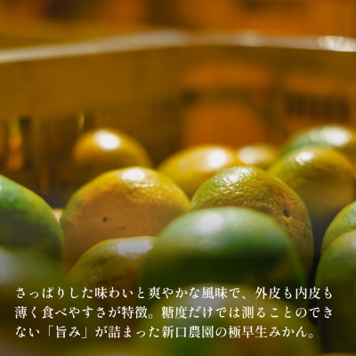 【数量限定】訳あり 極早生みかん 8kg【愛媛みかんの老舗】【C70-102】