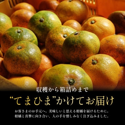 【訳ありだけど美味しさそのまま】極早生みかん 8kg【愛媛県産】【C70-102】