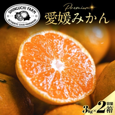 老舗農家が見極めたプレミアム【小玉】愛媛みかん3kg×2箱【愛媛県川上産】【D70-103】