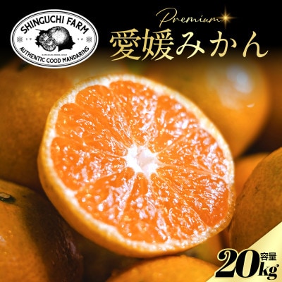 老舗農家が見極めたプレミアム【小玉】愛媛みかん20kg【愛媛県川上産】【H70-105】
