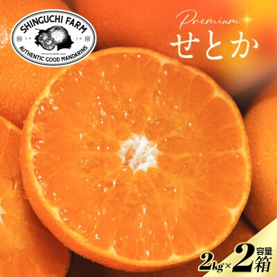 【数量限定】老舗農家が見極めたプレミアム【せとか2kg×2箱】柑橘の大トロ【F70-114】