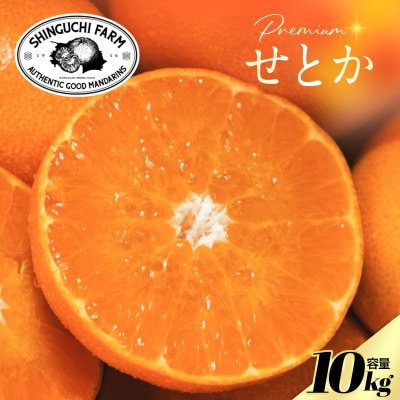 【数量限定】老舗農家が見極めたプレミアム【せとか10kg】柑橘の大トロ【H70-116】