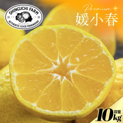 【数量限定】老舗農家が見極めたプレミアム【媛小春10kg】 愛媛県新品種【H70-119】