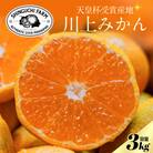 【天皇杯受賞産地】川上みかん 3kg【愛媛県八幡浜市】新口農園厳選【A70-120】