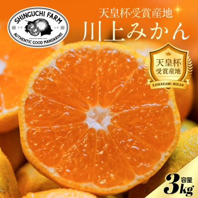 【天皇杯受賞産地】川上みかん 3kg【愛媛県八幡浜市】新口農園厳選【A70-120】