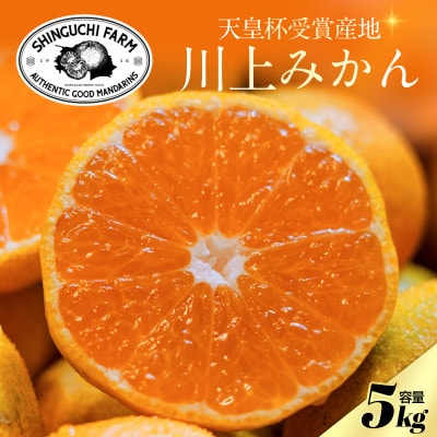 【天皇杯受賞産地】川上みかん 5kg【愛媛県八幡浜市】新口農園厳選【C70-122】