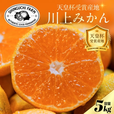 【天皇杯受賞産地】川上みかん 5kg【小玉】【愛媛県八幡浜市】新口農園厳選【C70-123】