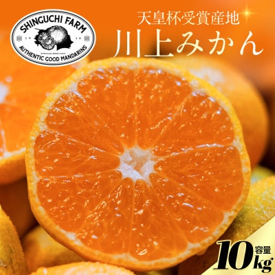 【天皇杯受賞産地】川上みかん 10kg【愛媛県八幡浜市】新口農園厳選【E70-126】
