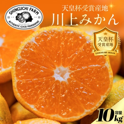 【天皇杯受賞産地】川上みかん 10kg【愛媛県八幡浜市】新口農園厳選【E70-126】