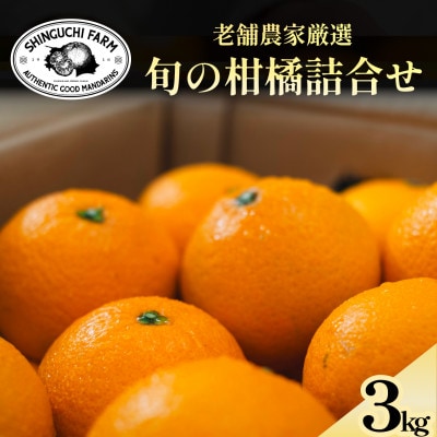 愛媛みかんの老舗厳選 旬のプレミアム柑橘 詰め合わせ 3kg【D70-129】