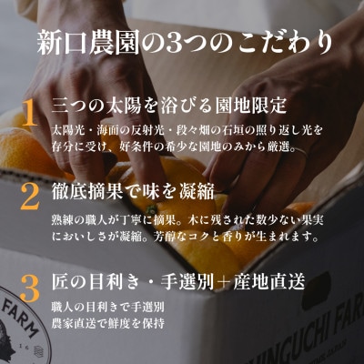 【愛媛 旬のプレミアム柑橘】極上食べ比べセット 3kg【D70-129】