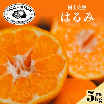 老舗農家が見極めたプレミアム【はるみ5kg】【希少・プチプチ食感】【D70-131】